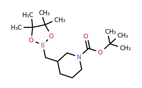 CAS 2365173-87-9 | tert-butyl 3-[(4,4,5,5-tetramethyl-1,3,2-dioxaborolan-2-yl)methyl]piperidine-1-carboxylate