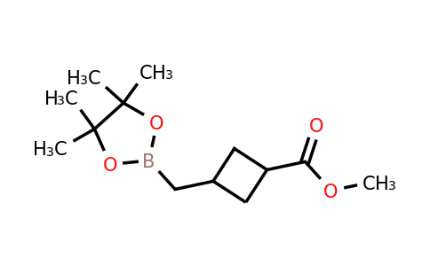 CAS 2365173-88-0 | methyl 3-[(4,4,5,5-tetramethyl-1,3,2-dioxaborolan-2-yl)methyl]cyclobutanecarboxylate