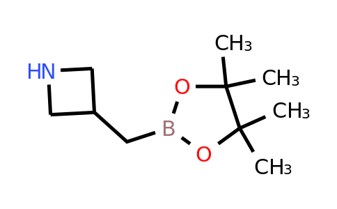 CAS 2365173-90-4 | 3-[(4,4,5,5-tetramethyl-1,3,2-dioxaborolan-2-yl)methyl]azetidine