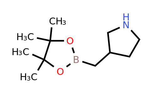 CAS 2365173-92-6 | 3-[(4,4,5,5-tetramethyl-1,3,2-dioxaborolan-2-yl)methyl]pyrrolidine