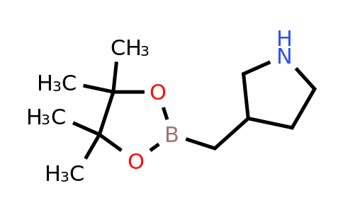 3-[(4,4,5,5-tetramethyl-1,3,2-dioxaborolan-2-yl)methyl]pyrrolidine