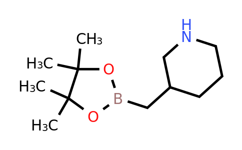 CAS 2365173-94-8 | 3-[(4,4,5,5-tetramethyl-1,3,2-dioxaborolan-2-yl)methyl]piperidine