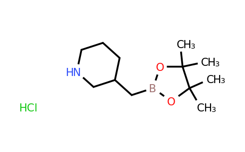 CAS 2365173-95-9 | 3-[(4,4,5,5-tetramethyl-1,3,2-dioxaborolan-2-yl)methyl]piperidine;hydrochloride