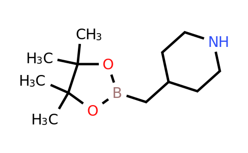CAS 2365173-96-0 | 4-[(4,4,5,5-tetramethyl-1,3,2-dioxaborolan-2-yl)methyl]piperidine
