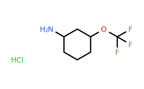 CAS 2376143-25-6 | 3-Trifluoromethoxy-cyclohexylamine hydrochloride