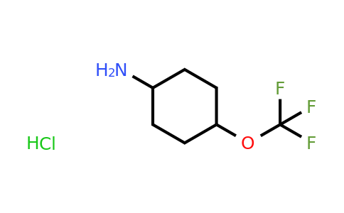 CAS 2376143-28-9 | 4-Trifluoromethoxy-cyclohexylamine hydrochloride