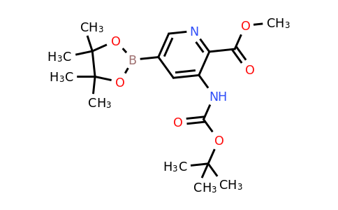 CAS 2377606-60-3 | methyl 3-{[(tert-butoxy)carbonyl]amino}-5-(tetramethyl-1,3,2-dioxaborolan-2-yl)pyridine-2-carboxylate