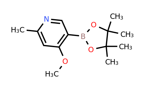 CAS 2379560-84-4 | (4-Methoxy-6-methylpyridin-3-yl)boronic acid pinacol ester