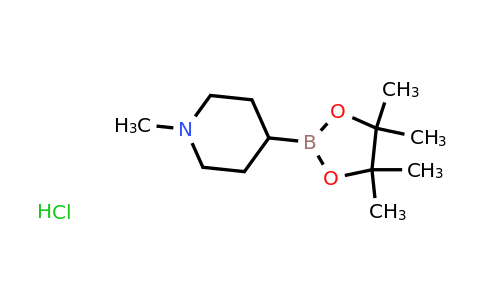 CAS 2379560-96-8 | 1-Methyl-piperidine-4-boronic acid pinacol ester hydrochloride