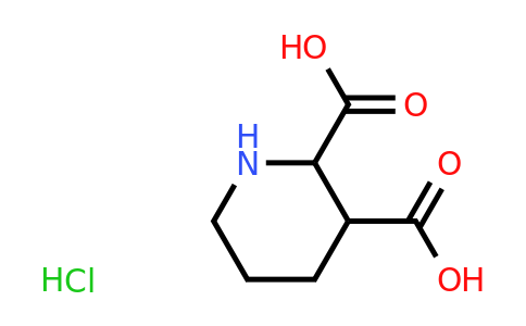 CAS 2379651-40-6 | Piperidine-2,3-dicarboxylic acid hydrochloride