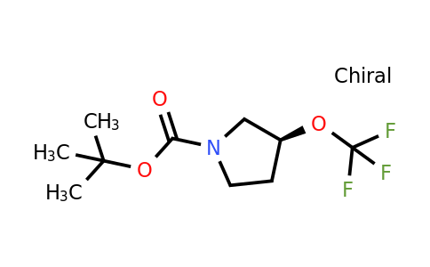CAS 2381209-65-8 | tert-butyl (3S)-3-(trifluoromethoxy)pyrrolidine-1-carboxylate