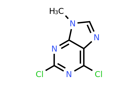 CAS 2382-10-7 | 2,6-dichloro-9-methyl-9H-purine