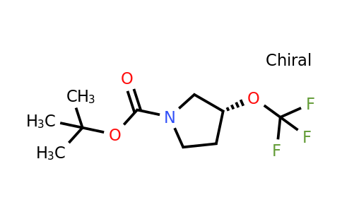 CAS 2382173-81-9 | tert-butyl (3R)-3-(trifluoromethoxy)pyrrolidine-1-carboxylate
