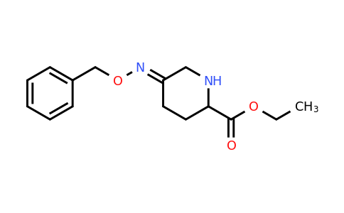 CAS 2387408-41-3 | ethyl 5-benzyloxyiminopiperidine-2-carboxylate