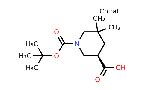 CAS 2387561-62-6 | (3R)-1-tert-butoxycarbonyl-5,5-dimethyl-piperidine-3-carboxylic acid