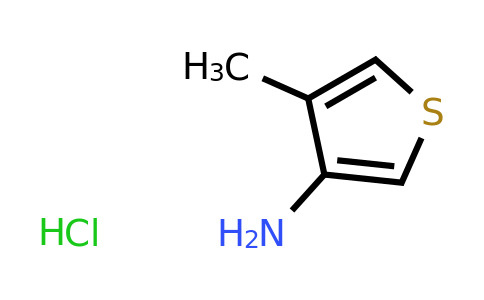 CAS 24030-00-0 | 4-methylthiophen-3-amine hydrochloride