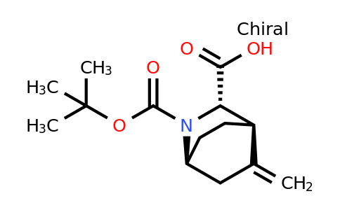 CAS 2410984-39-1 | (1S,3S,4R)-2-tert-butoxycarbonyl-5-methylene-2-azabicyclo[2.2.2]octane-3-carboxylic acid