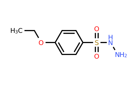 CAS 24924-80-9 | 4-ethoxybenzene-1-sulfonohydrazide