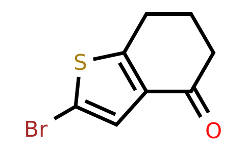 CAS 25074-25-3 | 2-bromo-4,5,6,7-tetrahydro-1-benzothiophen-4-one