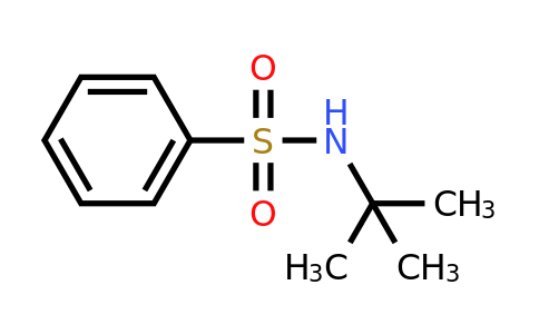 CAS 2512-24-5 | N-tert-Butylbenzenesulfonamide