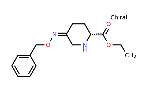 CAS 2518151-93-2 | ethyl (2R,5Z)-5-benzyloxyiminopiperidine-2-carboxylate