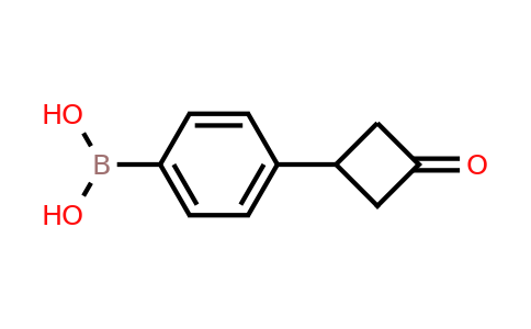 CAS 254893-03-3 | 3-(4-Boronophenyl)cyclobutanone