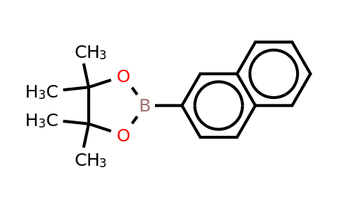 CAS 256652-04-7 | Naphthalene-2-boronic acid, pinacol ester