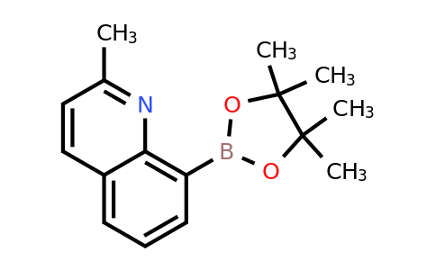 CAS 256652-05-8 | 2-Methylquinolin-8-ylboronic acid pinacol ester