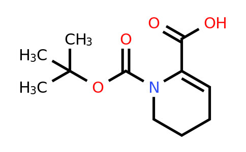 CAS 259133-67-0 | 1-(tert-Butoxycarbonyl)-1,4,5,6-tetrahydropyridine-2-carboxylic acid