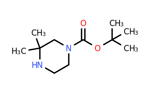 tert-butyl 3,3-dimethylpiperazine-1-carboxylate