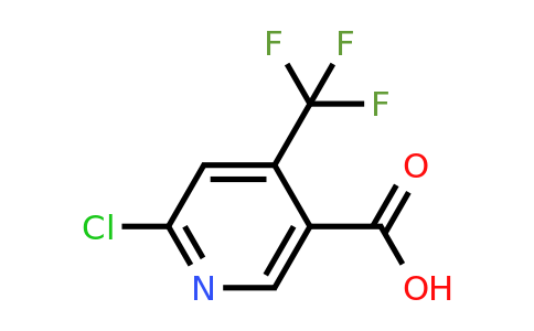 CAS 261635-77-2 | 6-Chloro-4-(trifluoromethyl)nicotinic acid