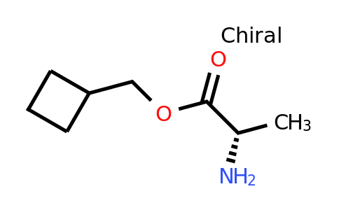 CAS 261909-76-6 | (S)-Cyclobutylmethyl 2-aminopropanoate