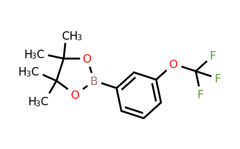 CAS 262376-31-8 | 4,4,5,5-Tetramethyl-2-(3-trifluoromethoxyphenyl)-1,3,2-dioxaborolane