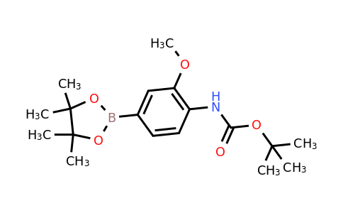 CAS 262433-02-3 | tert-Butyl (2-methoxy-4-(4,4,5,5-tetramethyl-1,3,2-dioxaborolan-2-yl)phenyl)carbamate
