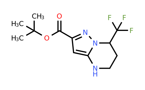 CAS 2639441-92-0 | tert-butyl 7-(trifluoromethyl)-4,5,6,7-tetrahydropyrazolo[1,5-a]pyrimidine-2-carboxylate