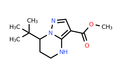 CAS 2639444-95-2 | methyl 7-tert-butyl-4,5,6,7-tetrahydropyrazolo[1,5-a]pyrimidine-3-carboxylate
