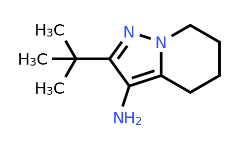 CAS 2640277-24-1 | 2-tert-butyl-4,5,6,7-tetrahydropyrazolo[1,5-a]pyridin-3-amine