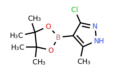 CAS 2641339-68-4 | 3-chloro-5-methyl-4-(4,4,5,5-tetramethyl-1,3,2-dioxaborolan-2-yl)-1H-pyrazole
