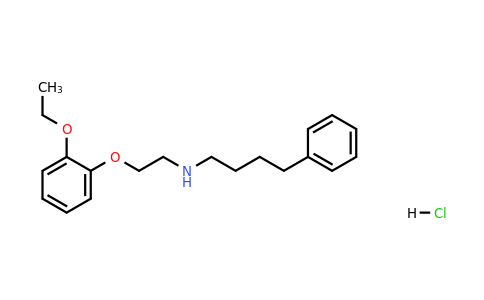 CAS 264185-75-3 | N-(2-(2-Ethoxyphenoxy)ethyl)-4-phenylbutan-1-amine hydrochloride