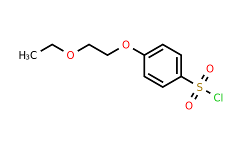 CAS 264624-20-6 | 4-(2-Ethoxyethoxy)benzene-1-sulfonyl chloride