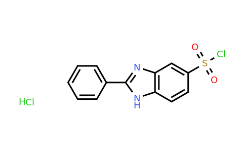 CAS 27503-80-6 | 2-Phenyl-1H-1,3-benzodiazole-5-sulfonyl chloride hydrochloride