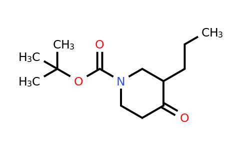 CAS 277298-22-3 | 1-BOC-3-N-Propyl-piperidin-4-one