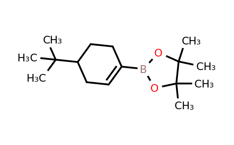 CAS 287944-06-3 | 2-(4-Tert-butylcyclohex-1-enyl)-4,4,5,5-tetramethyl-1,3,2-dioxaborolane