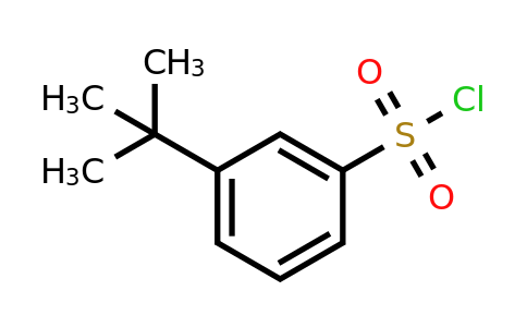 CAS 2905-26-2 | 3-(tert-Butyl)benzene-1-sulfonyl chloride