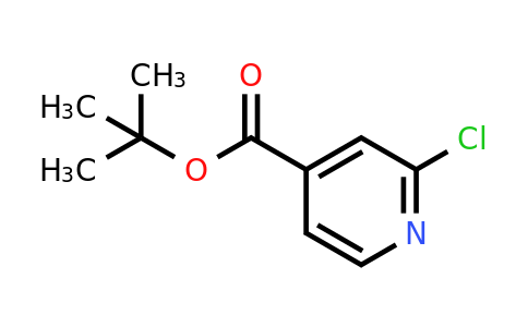 CAS 295349-62-1 | 2-Chloro-4-pyridinecarboxylic acid 1,1-dimethylethyl ester