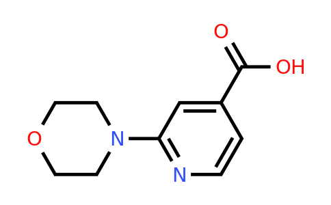 CAS 295349-64-3 | 2-Morpholinoisonicotinic acid
