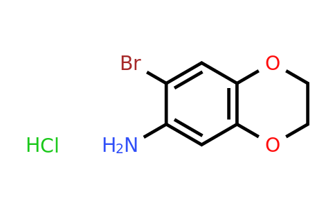 CAS 297757-46-1 | 7-bromo-2,3-dihydro-1,4-benzodioxin-6-amine hydrochloride