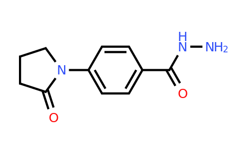 CAS 299934-08-0 | 4-(2-Oxopyrrolidin-1-yl)benzohydrazide