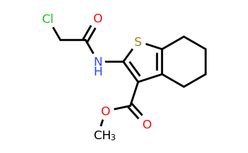 CAS 300559-61-9 | methyl 2-(2-chloroacetamido)-4,5,6,7-tetrahydro-1-benzothiophene-3-carboxylate