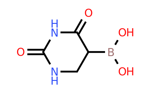CAS 306935-91-1 | (2,4-Dioxohexahydropyrimidin-5-yl)boronic acid